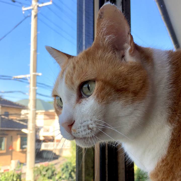 Af412a68 a1b8 4c7f 949c 840fd7ca564d 1569812564002