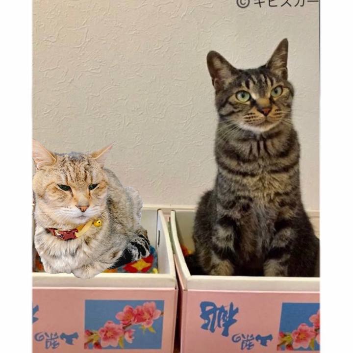 Af41a4ba 071d 405a 9dd8 d8e373d21ab8 1624307098915