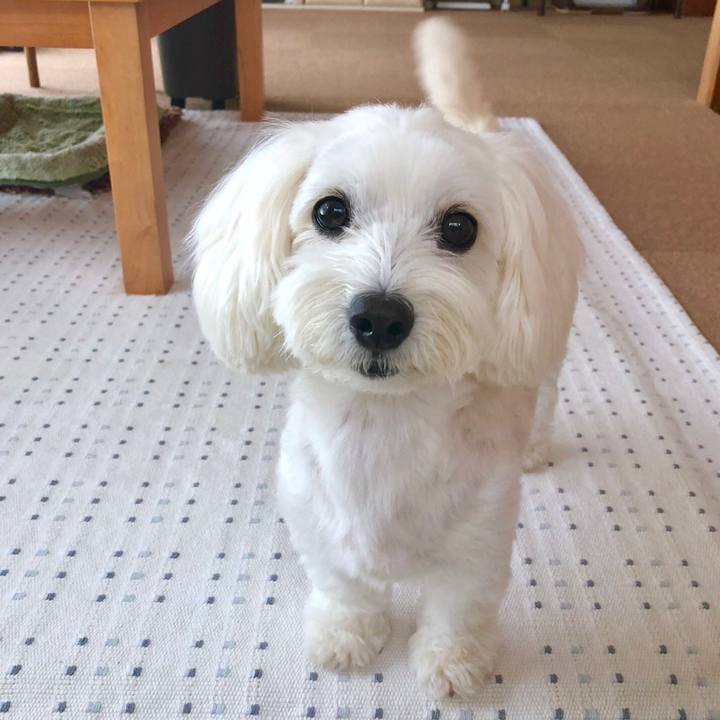 Af41b010 99e4 4fee 8e6a 522c234d9c3b 1536480992056