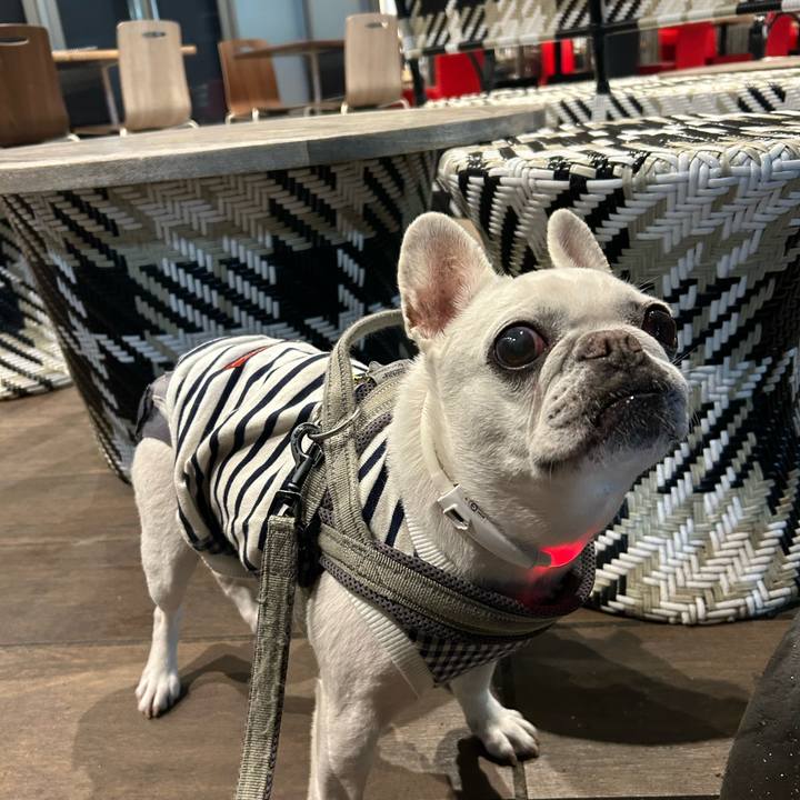 Af41c4d8 098c 459a bb1d ac58c270595f 1748653643847