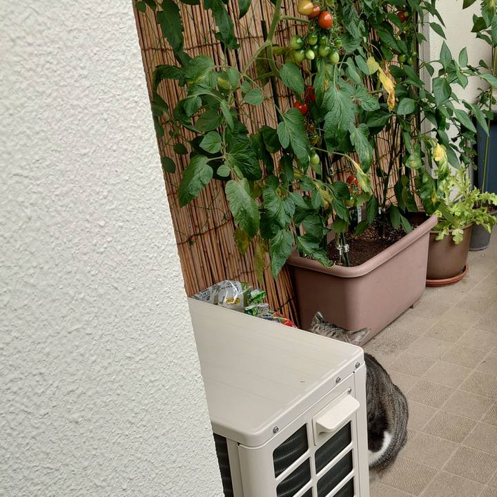 Af41de51 74d6 4823 bc11 b68436d71da6 1593042790710