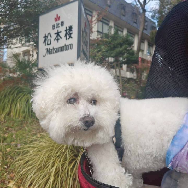 Af41f415 3656 44a1 b6d9 6de84c805b9c 1765695951385