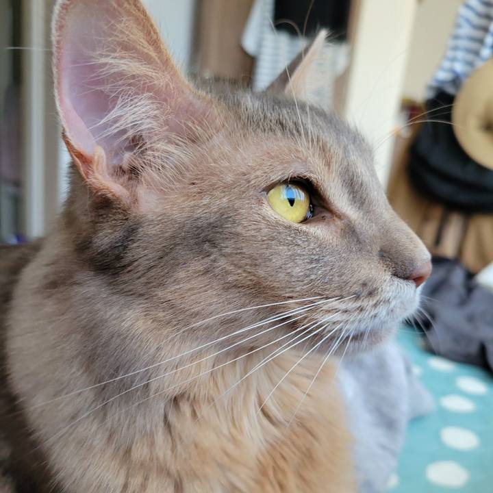 Af421401 6e0b 422f 9cfe 98fca3aa1464 1630827735748