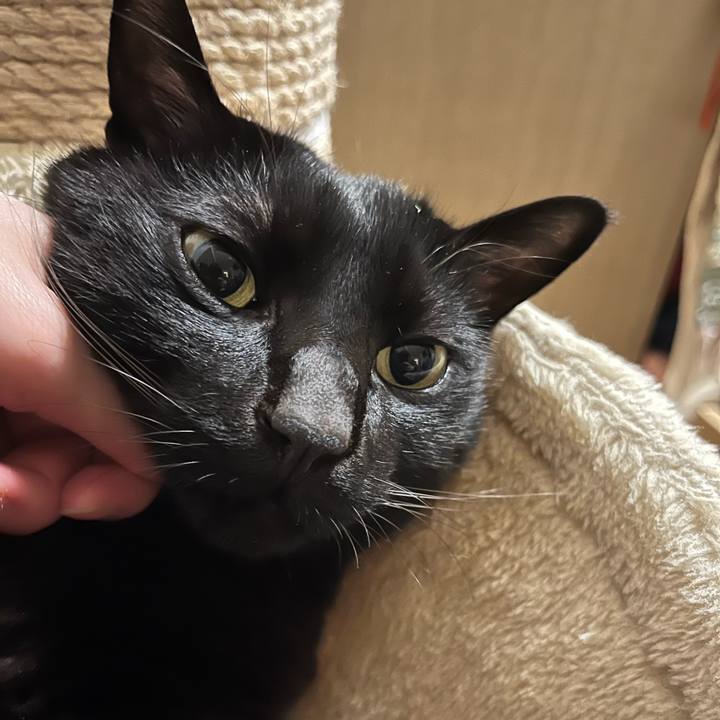 Af425195 2872 4c60 b55f a24faf925d0f 1741863606164