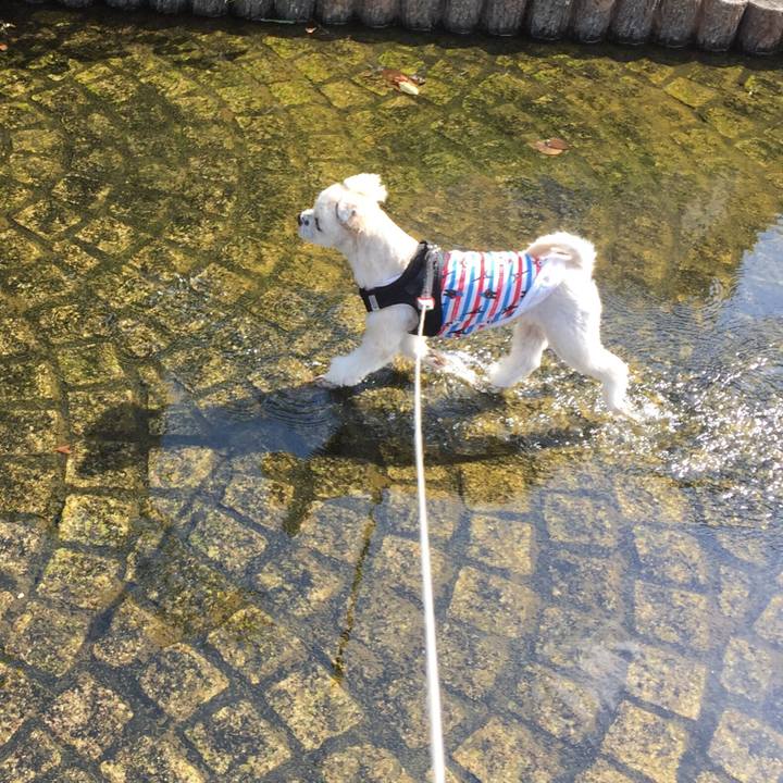 Af4263b2 92ea 4b34 804f 596e2f400c3a 1540709105612