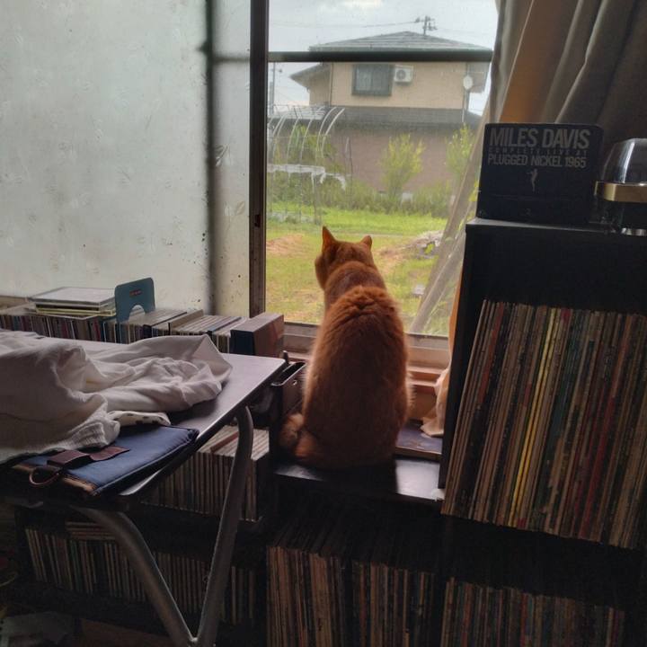 Af426f6f a92b 4f43 8a12 551dced5e348 1721985971971