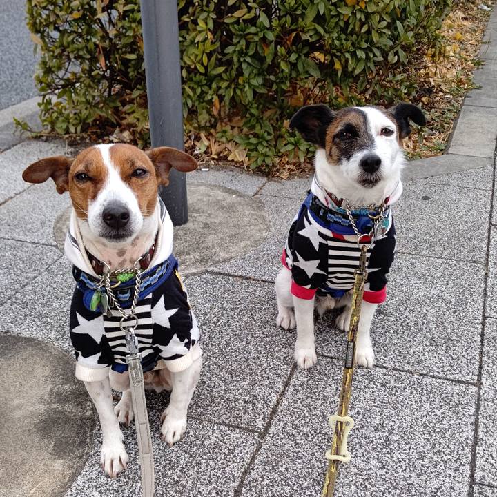 Af42792b 31bc 4682 b17d e2a0199ff6ba 1642978127936