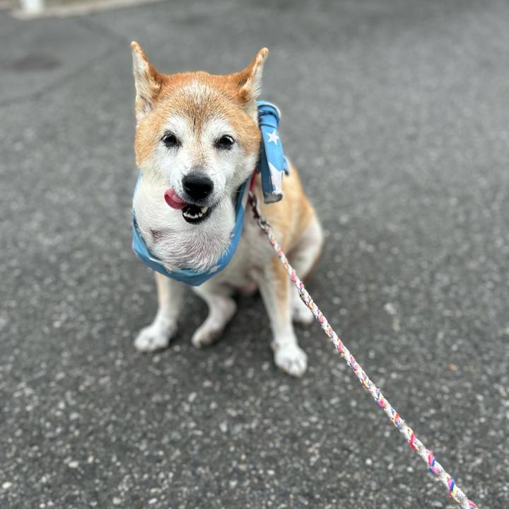 Af428d16 6c8c 4fee a36d 13b552ccd040 1759192745165