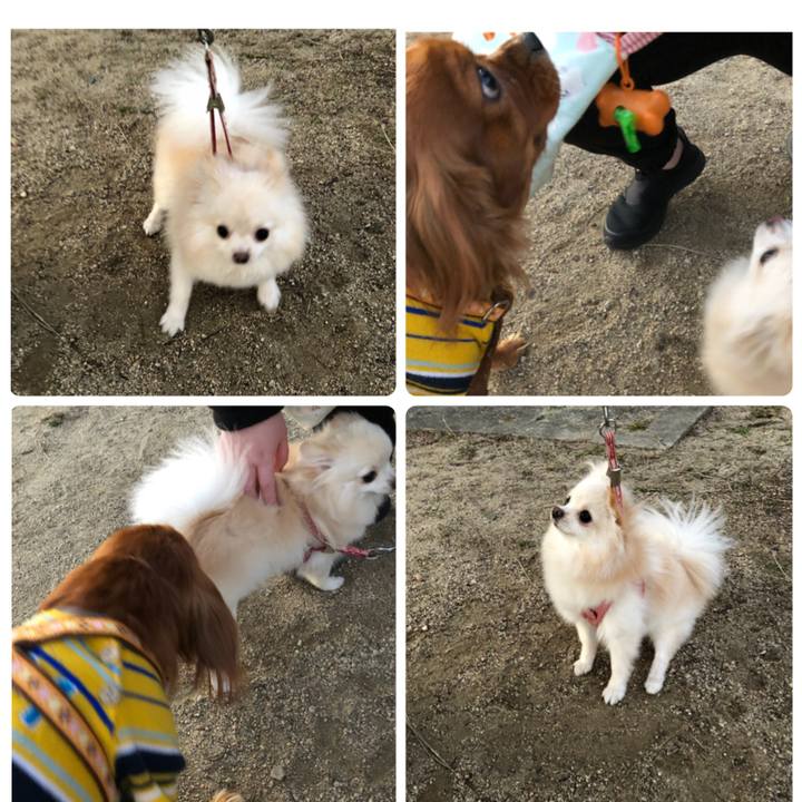 Af42a314 ab76 4d50 9a0e 45f42535b7f6 1546158779519