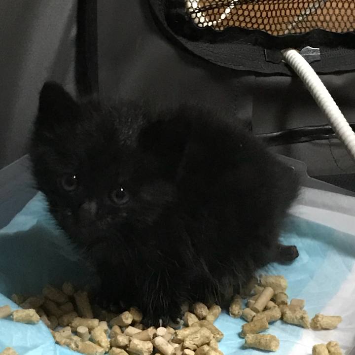 Af42bb4a 6c45 4363 b343 a5005558fe78 1509265805908