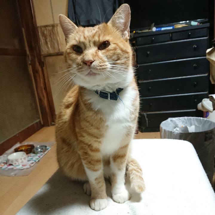 Af4357d1 be36 41ce 9e5c 4651d43bd264 1604432727589