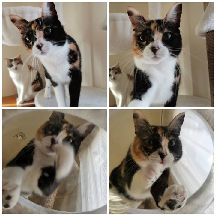 Af436210 e1f6 48cc bd7c c2888b7c922e 1635137386744