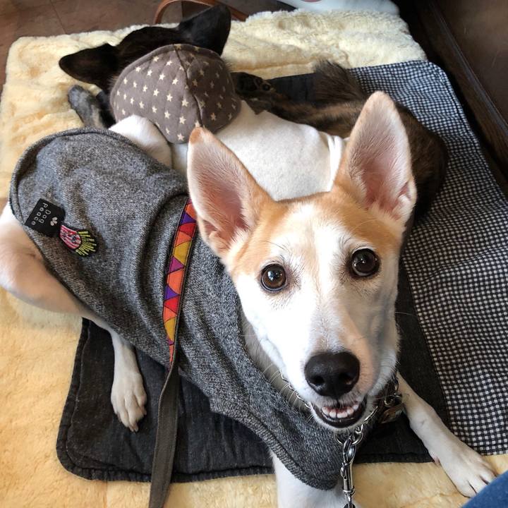 Af43af6a 0955 468a 8145 8cd7be8ff0cd 1602165302402