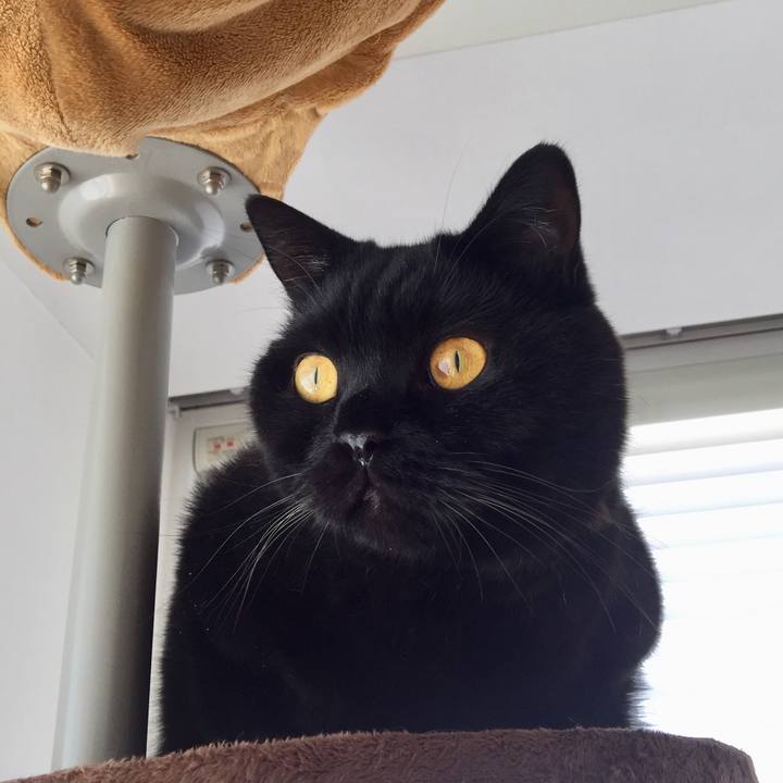 Af43b968 092e 4cc0 b6d2 e83b2ffe84ae 1569294775112