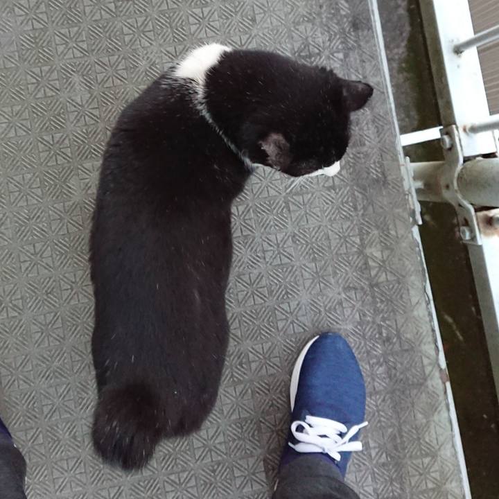 Af43e0a9 98bc 4348 83c4 c0f55c72796c 1673322223614