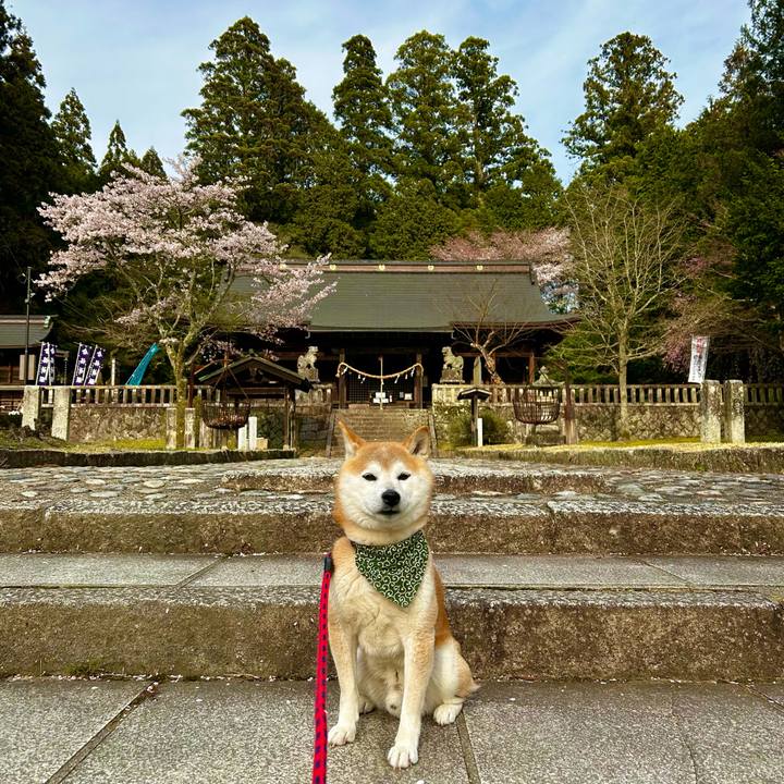 Af44b22e 1a9f 4183 ab3e 380d79b481ed 1713093576549