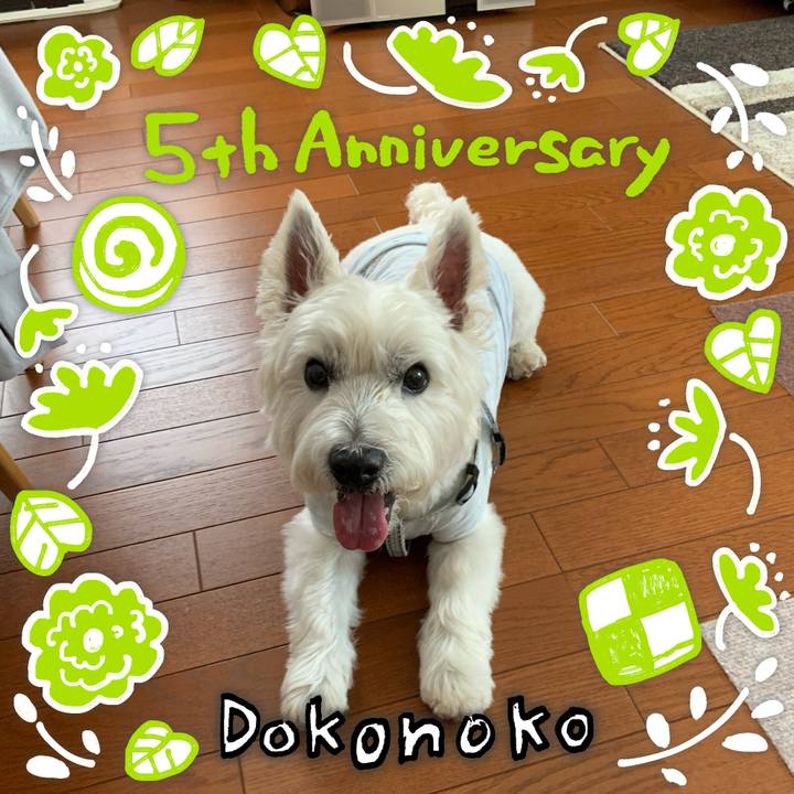 Af44c09d 52a6 40e0 8a8c 6f601e317402 1623052103689