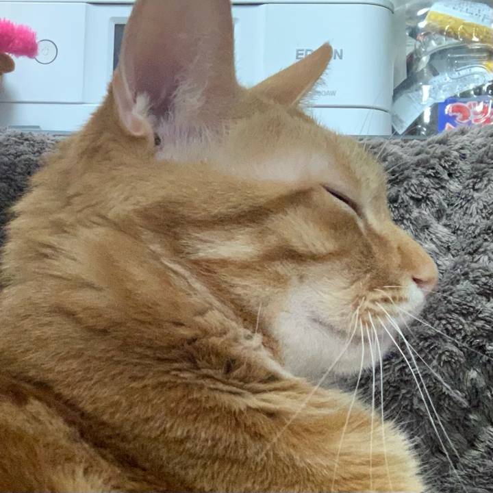 Af44c1fc ff6c 4ac4 894b 3a326ee496b2 1615503561252