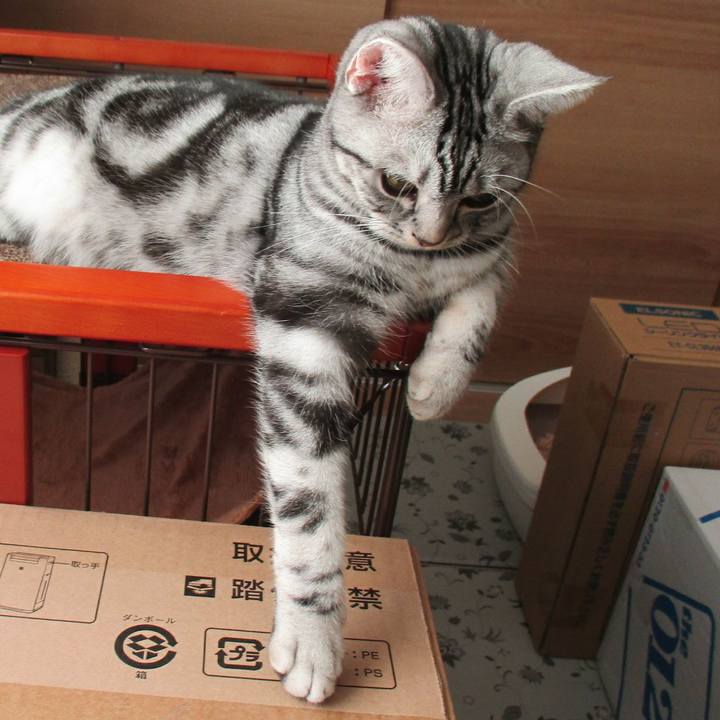 Af44eefd 5311 4b58 a4ef d418aa051c3b 1544793806101