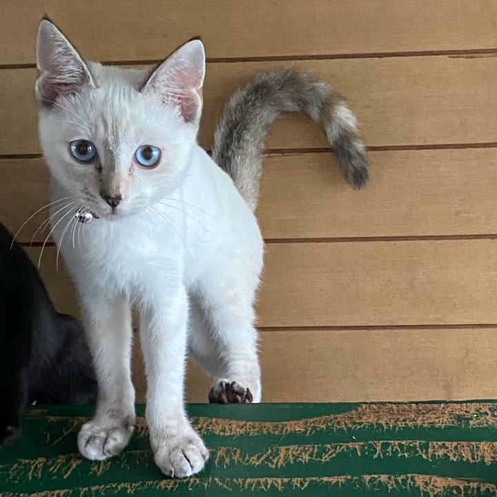 Af454a2d d2d2 4e0e 9a0d 1175da208fa6 1721219118746