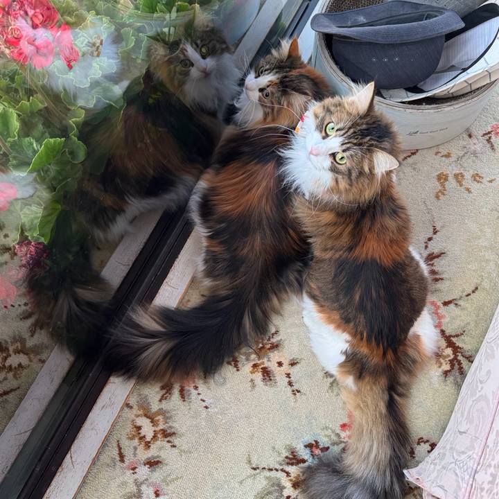 Af457144 ab3e 41fe 88e2 60a914e2b7a1 1774255697885