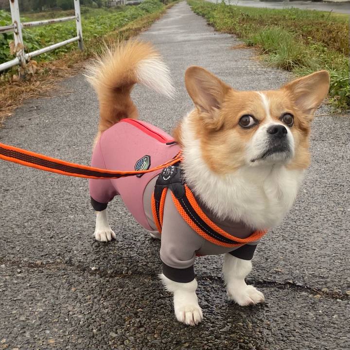 Af45727f ebf1 49d7 ada9 d233e396f570 1757032133385