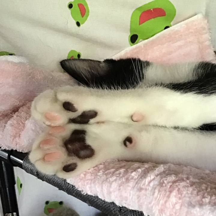 Af4591cb f451 4335 ba44 6197c46851d5 1627888599151