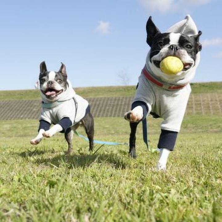 Af459c44 d756 4d4d 9183 5ae4a80c9acd 1545654116837