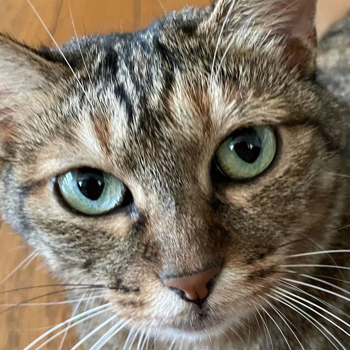 Af45cb24 f517 4b56 983b 70b9ba84e8e2 1659753381661