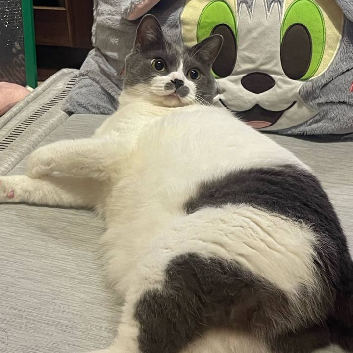 Af45fbb2 729b 4b0f b0f5 816fe8d18c52 1753718540436