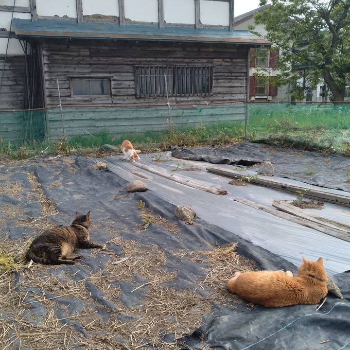 Af4617ec abb0 4deb a42c 8d74ed811e08 1748335618965