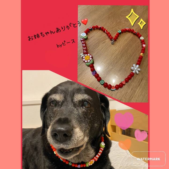 Af464447 f8f2 43a7 8169 b9376f05e138 1695769217674