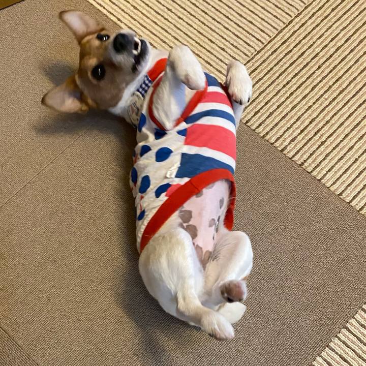 Af46735f e09e 4bcb 8a21 61276ddbb456 1589529298305