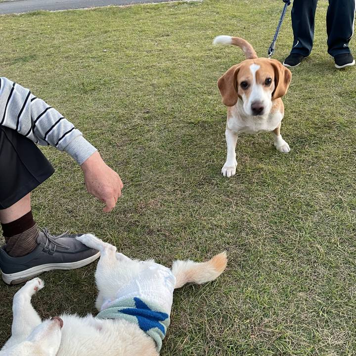 Af4680e1 bf32 4c5b b6f8 0d1f2a941e8a 1668426042126