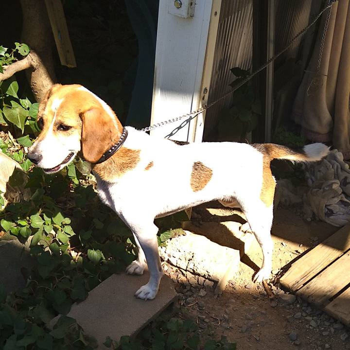 Af46abda 7f2f 4f5a a069 78452a9831d4 1626851372607