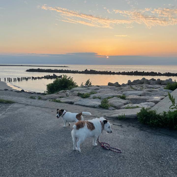 Af46e93d 6205 44ef 9cfe d50bc33dcc15 1750979016435