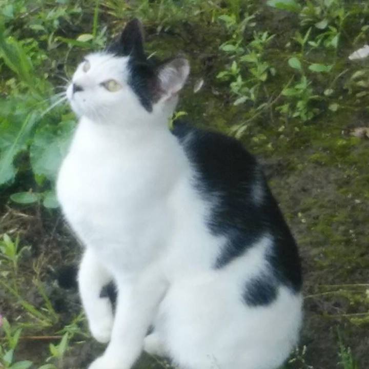 Af474a07 6bfc 4cef 9f1d 45a0afb402e9 1590192023756