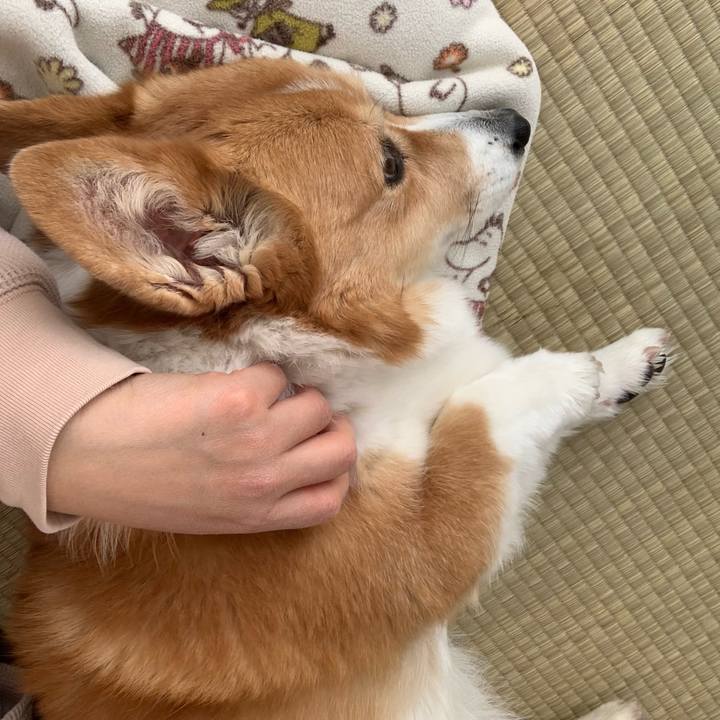 Af476dcb 72b8 4e00 ba6c 5af9ef381ba2 1673409990967