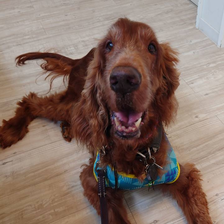 Af47718f 6a2a 4647 941e b0b8f19ea8b8 1627217221480