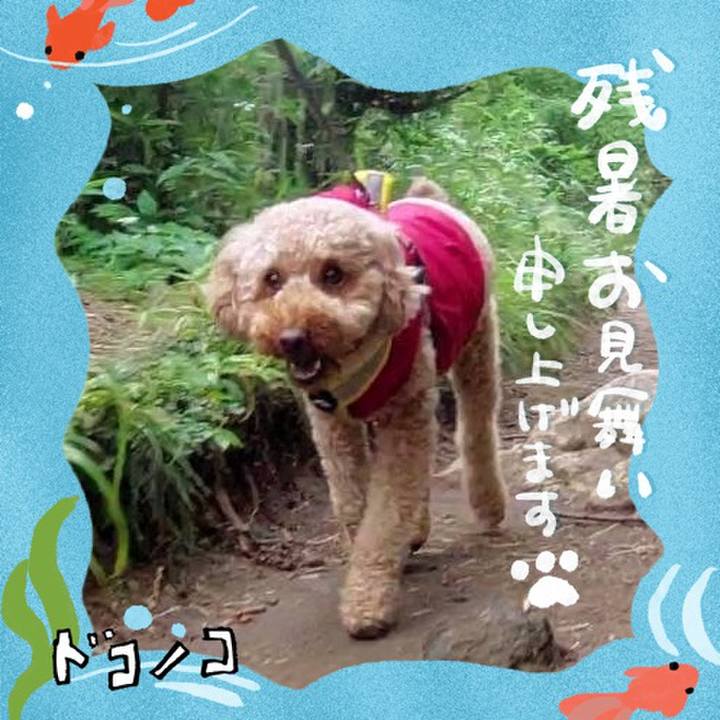 Af47af13 823f 4a19 ace3 72a7c7e014a5 1723362856323