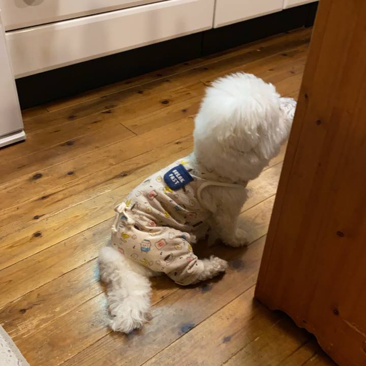 Af47c732 1444 4abb bf1d ec33986f7c6c 1732800380717