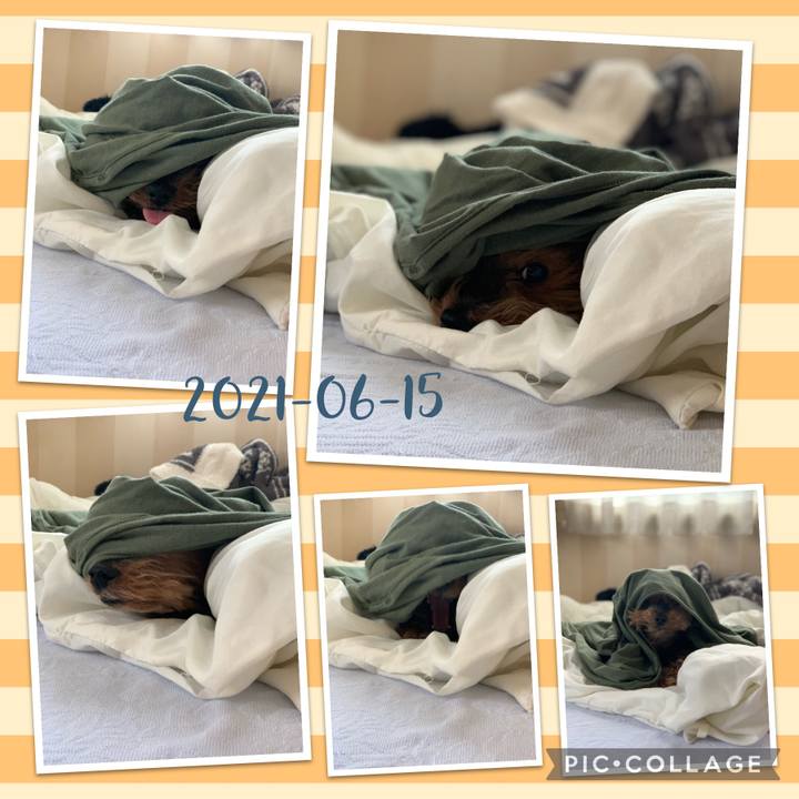 Af47fc57 b0c8 4c58 a6c0 df89bdf088ef 1623740467958