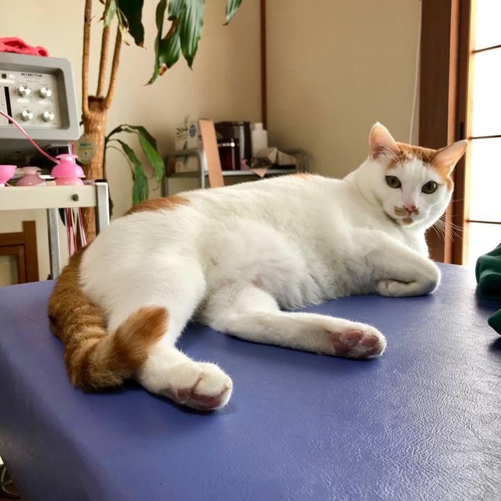 Af483e3e 97ee 4808 a395 01299a44eac8 1542452977102