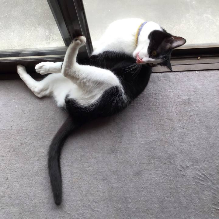 Af48710e 6b95 4072 aab3 c5c2f7f19d7a 1653555213060