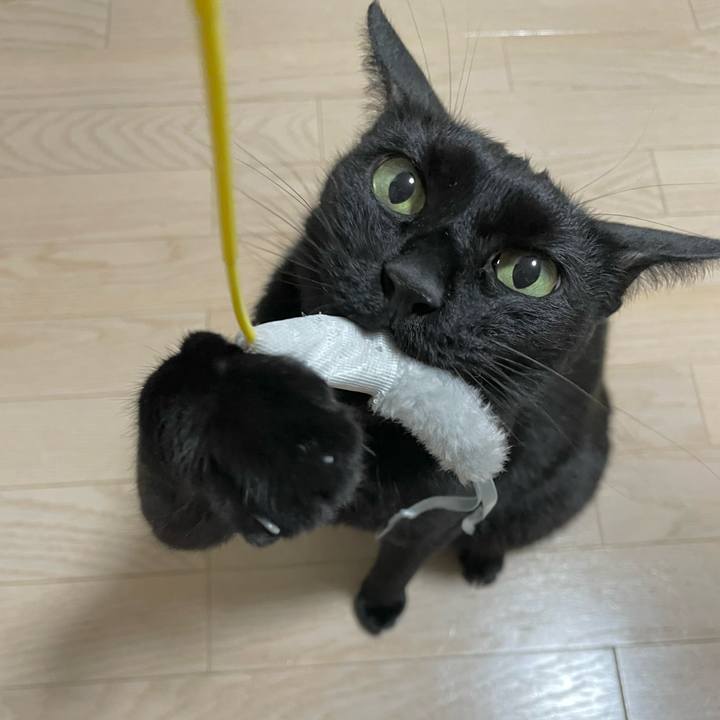 Af487306 61e8 4298 a8f4 c159a59b4ca8 1656757591842