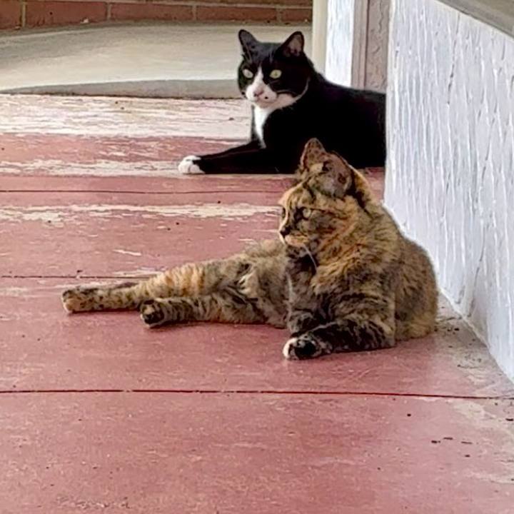 Af4898e2 42d5 4813 b200 0dd36a2d0ba6 1751285564577