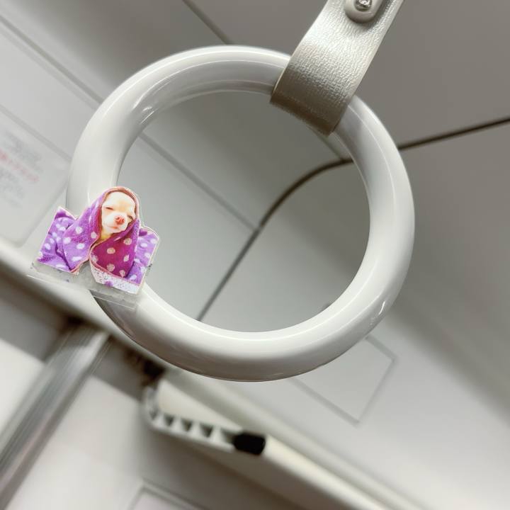 Af48ac89 e9de 4420 b0f8 3264992b260b 1711267659239