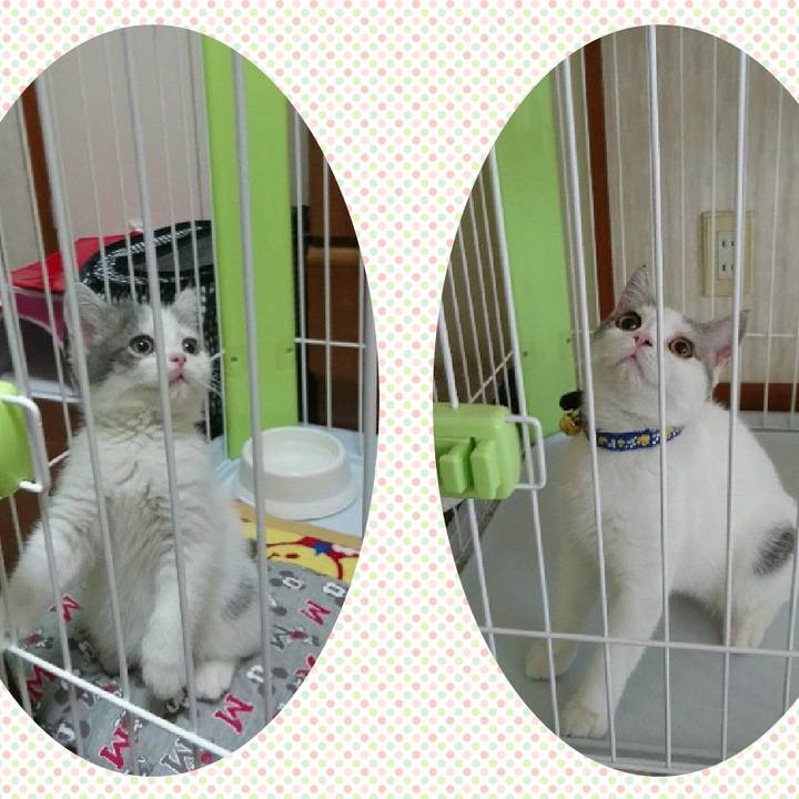 Af48de2d 5089 40e3 896c 23da23084024 1538522343814