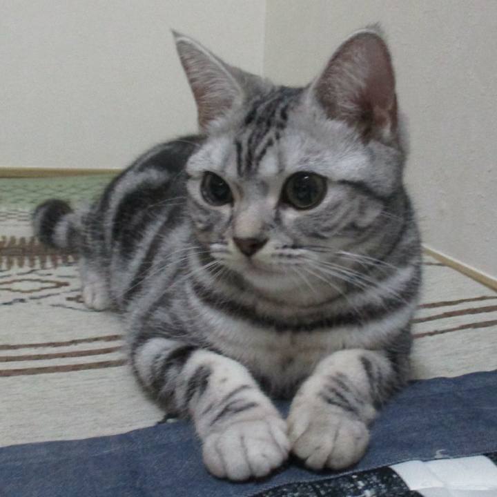 Af48e713 8d11 4f06 b72b edd645c1686e 1553917340454