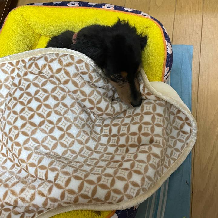 Af4908a6 4ec0 443d ba8a c930da5b360d 1612359383680